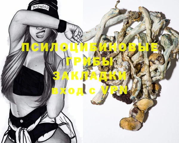 меф Няндома